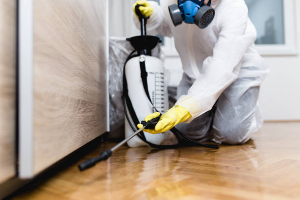Best Pest Removal Services  in Knoxville, IA