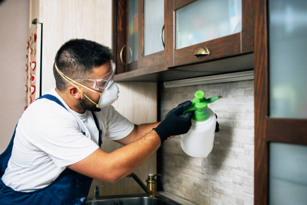 Best Best Pest Control Companies  in Knoxville, IA