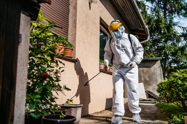 Best Best Pest Control Companies  in Knoxville, IA