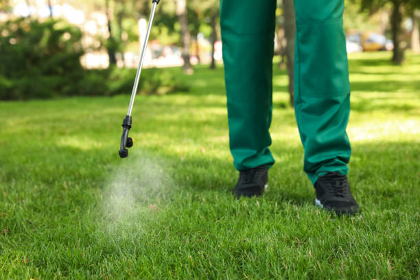 Best Pest Removal Services  in Knoxville, IA