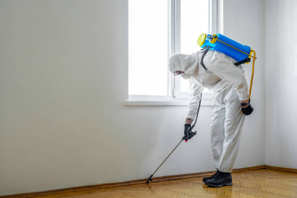 Best Wildlife Control Services  in Knoxville, IA