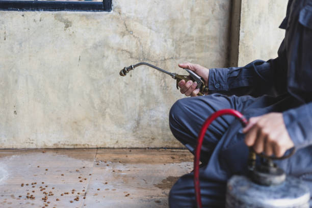 Best Local Pest Control Services  in Knoxville, IA